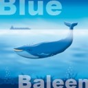 Blue Baleen