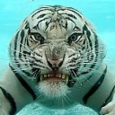 สมาชิกหมายเลข 1454842