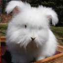 สมาชิกหมายเลข 1454906