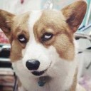 สมาชิกหมายเลข 1884277