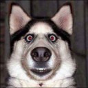 สมาชิกหมายเลข 1740680