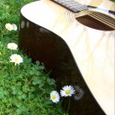 สมาชิกหมายเลข 1783037