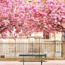 สมาชิกหมายเลข 3558670