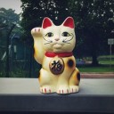 สมาชิกหมายเลข 850509