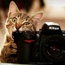 สมาชิกหมายเลข 1879424