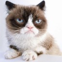 สมาชิกหมายเลข 2287103