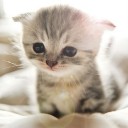 สมาชิกหมายเลข 3029547