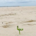 สมาชิกหมายเลข 1754595