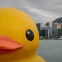 สมาชิกหมายเลข 1873109