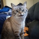 สมาชิกหมายเลข 1691735