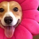 สมาชิกหมายเลข 1806767