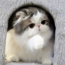 สมาชิกหมายเลข 731293