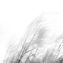 สมาชิกหมายเลข 2689638