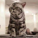 สมาชิกหมายเลข 3087735