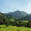 สมาชิกหมายเลข 3560085