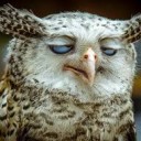 สมาชิกหมายเลข 3560162