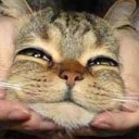 สมาชิกหมายเลข 1452987