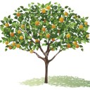 นศ สวนส้ม