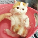 สมาชิกหมายเลข 1456872