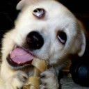 ตรงไปเลี้ยวขวา