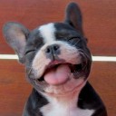 สมาชิกหมายเลข 3095146