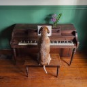 สมาชิกหมายเลข 3095264