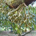 สมาชิกหมายเลข 3561023