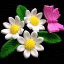 ฟอร์เก็ตมีน็อต บายแอนนา