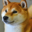 สมาชิกหมายเลข 1476188