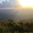 สมาชิกหมายเลข 2042070