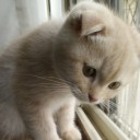 สมาชิกหมายเลข 3095659