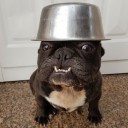 สมาชิกหมายเลข 1434506