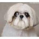 สมาชิกหมายเลข 1278552