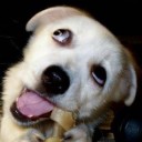 สมาชิกหมายเลข 1457692