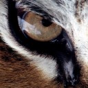 สมาชิกหมายเลข 1060973