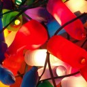 โบว์จิ๋วลายจุด