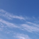 สมาชิกหมายเลข 2879995