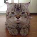 สมาชิกหมายเลข 1457124