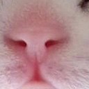 สมาชิกหมายเลข 1887931