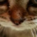 สมาชิกหมายเลข 2680627