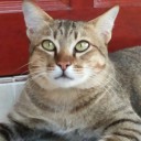 สมาชิกหมายเลข 3562124