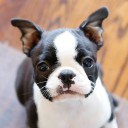 สมาชิกหมายเลข 946306