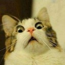 สมาชิกหมายเลข 972000