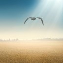 สมาชิกหมายเลข 1888055