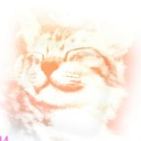 สมาชิกหมายเลข 1895002