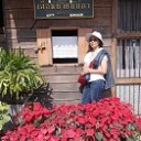 แมวหวาน