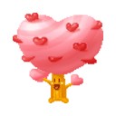 เม่นน้อยขนพริ้ว