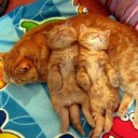 สมาชิกหมายเลข 1458907