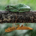 สมาชิกหมายเลข 2970538