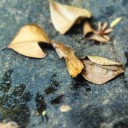 กำไลข้อมือ